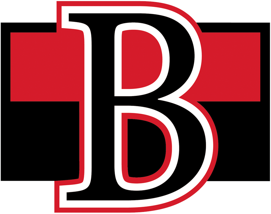 Belleville Senators 2017-Pres Primary Logo vinyl decal